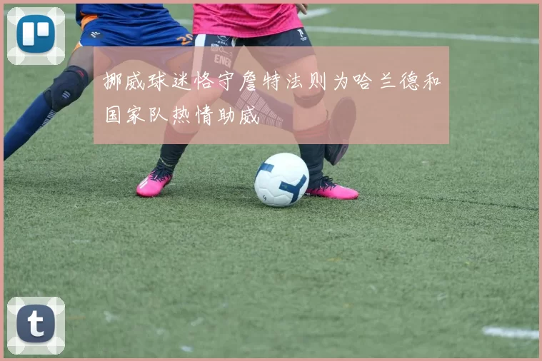 挪威球迷恪守詹特法则为哈兰德和国家队热情助威
