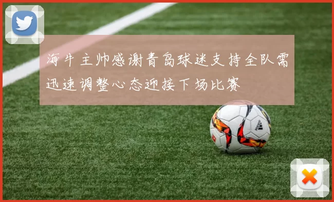 海牛主帅感谢青岛球迷支持全队需迅速调整心态迎接下场比赛